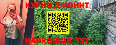 гашик Нарткала