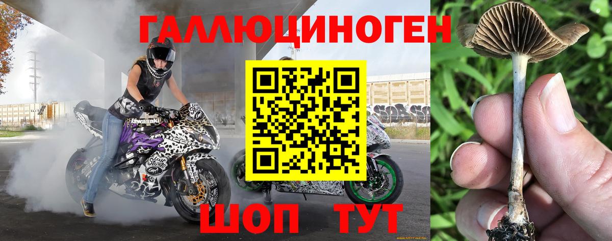 Псилоцибиновые грибы Psilocybe  хочу   Тула  Псилоцибиновые грибы Psilocybe  Вход с VPN 